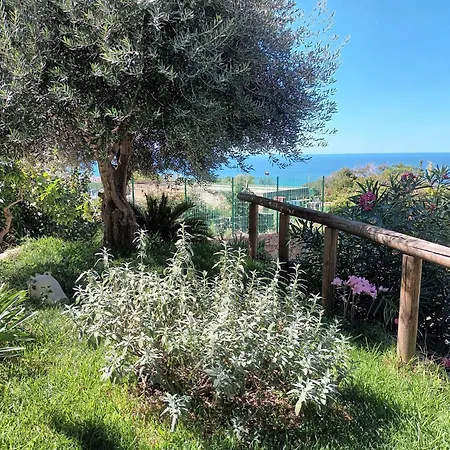 Apartment La Strelizia Ischia