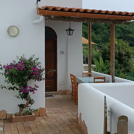 La Strelizia Apartment Ischia