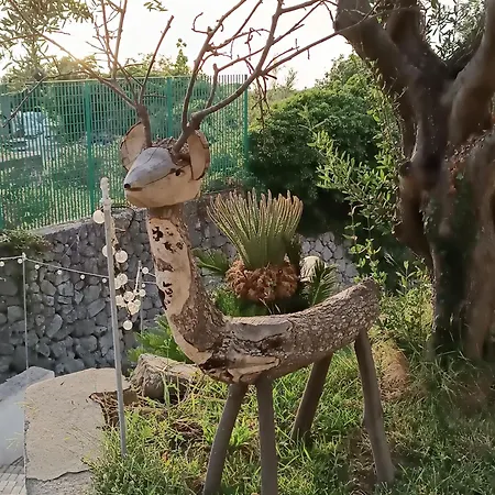 Apartment La Strelizia Ischia