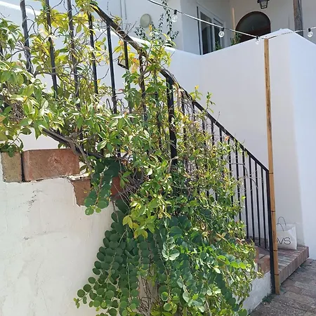 Apartment La Strelizia Ischia