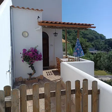 Apartment La Strelizia Ischia