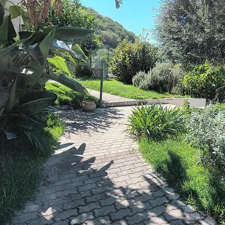 Twin Terraces La Strelizia Forio D'Ischia Lejlighed *