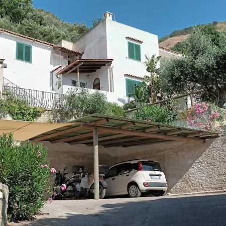 Twin Terraces La Strelizia Forio D'Ischia *