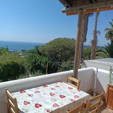 Twin Terraces La Strelizia Forio D'ischia