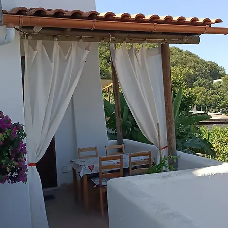 Twin Terraces La Strelizia Forio D'ischia Apartamento *